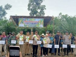 DPMD PALI Dorong Kemandirian Desa Melalui Program Ketahanan Pangan di Tambak Penukal Utara
