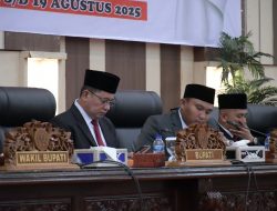 RPJMD Kabupaten Banyuasin Pemerintah Daerah DPRD Komitmen Pembangunan Berkelanjuta