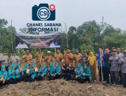 Dinas PMD PALI Dorong Ketahanan Pangan Desa, Dampingi Penanaman Jagung di Spantan Jaya