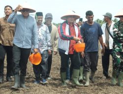 Bupati Askolani Optimis Banyuasin Jadi Nomor 1 Lumbung Pangan Nasional