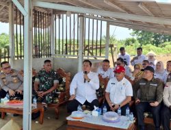 Kendalikan Inflasi, Bupati Banyuasin Tanam Bawang Merah Duren Ijo