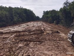 Pembuatan Jalan Holing Batubara Di Desa Belimbing Muara Enim Diduga Ilegal,” Segera Pemkab Bertindak
