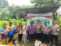 Polsek Lawang Kidul Panen Jagung Bersama Masyarakat Tegal Rejo, Wujud Dukungan Polri Pada Ketahanan Pangan