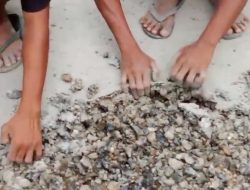 Diprotes Warga Karena Diduga Dikerjakan Asal Jadi, Proyek Jalan di Reok di Bongkar