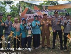 Camat Tanah Abang Hadiri Panen Jagung Hibrida di Harapan Jaya, Dorong Ketahanan Pangan