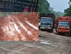 Diduga Dishub Muara Enim Tutup Mata, Angkutan Kayu PT MHP Lumpuhkan Aktivitas Warga dan Anak Sekolah di Rambang Niru