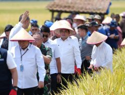 Pengendalian Inflasi, Bupati Banyuasin Ungkap 12 Gerakan Bersama Masyarakat