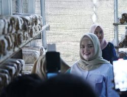 Wabup Netta Tinjau Inovasi Olahan Jamur Tiram