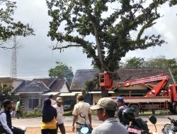 Erman Taufik Beserta Warga Antisipasi Pemotong Ranting Pohon Agar Terhindar Kecelakaan 