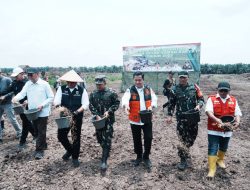 Dukung Ketahanan Pangan, Tanam Padi Digelar Lahan Cetak Sawah Rakyat Banyuasin 