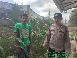 Polsek Tanjung Lago Gencar Sosialisasi P2B Dukung Swasembada Pangan Nasional