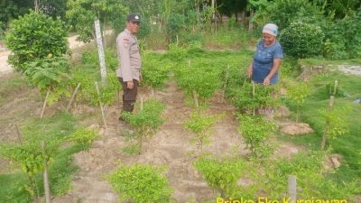 Bhabinkamtibmas Polsek Tungkal Ilir Gencar Sosialisasikan Program P2B 