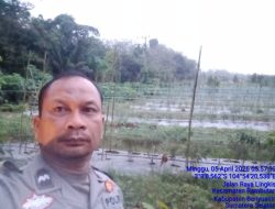 Bhabinkamtibmas Polsek Rambutan Aktif Rawat Tanaman 