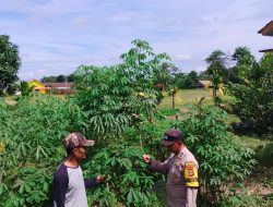 Bhabinkamtibmas Polsek Air Kumbang Warga Dukung Program Swasembada Pangan