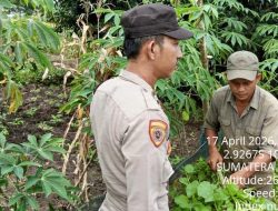 Polsek Air Kumbang Gerakkan Masyarakat Desa Dukung Program Pangan Nasional
