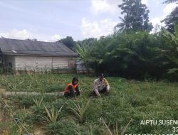 Bhabinkamtibmas Polsek Tungkal Ilir Gerakkan Masyarakat Dukung Swasembada Pangan Nasional