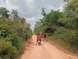 Pulau Muning Perbaikan Jalan Untuk Kenyamanan warga Melintas Musim Hujan 