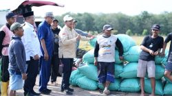 Bupati Banyuasin Bersama Warga Panen Padi Sekaligus Dialog Bareng