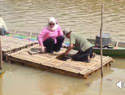 Libur Tahun Baru Islam Wabup Banyuasin Tinjau Sawah, Budidaya Keramba Ikan