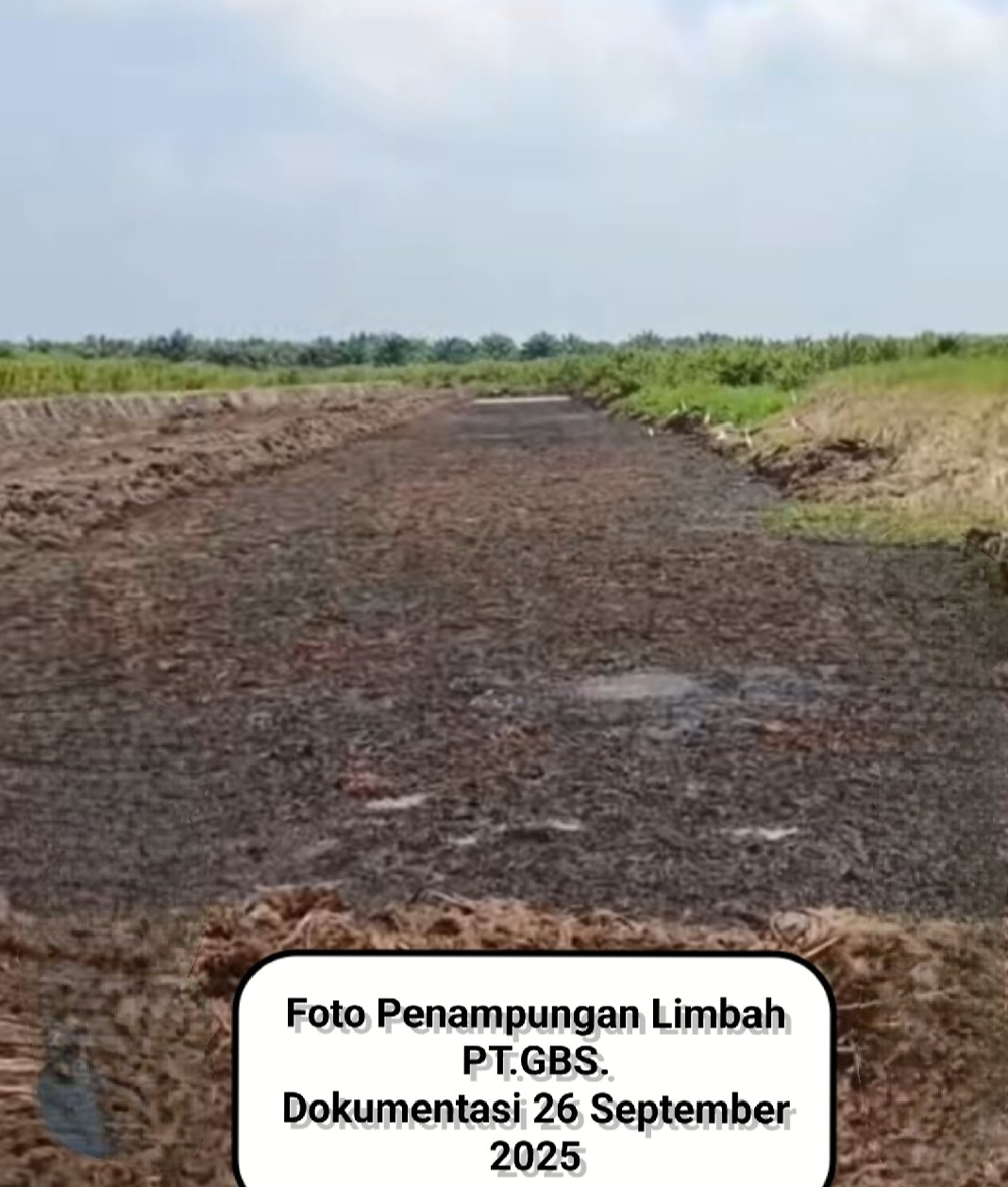 Foto: kolam Penampung Limbah PT.GBS. dokumentasi 25 September 2025