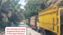 Jalan Rusak, Warga Desak PT Inti Agro Makmur Bertanggung Jawab