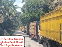 Jalan Rusak, Warga Desak PT Inti Agro Makmur Bertanggung Jawab