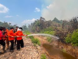 Waspada Api Wabup Banyuasin Netta Turut Ke Lokasi Kebakaran 