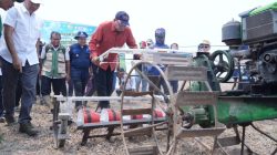 Banyuasin Terus Tingkatkan Produksi Padi Di Indonesia, Optimis Bupati 