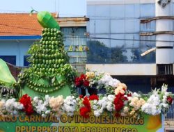 Budidaya Mangga Carnival Of Indonesia 2026, Banyuasin Siap Kembangkan