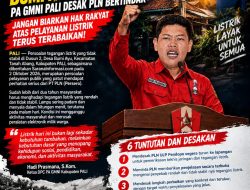 DUA TAHUN WARGA BUMI AYU BERKELUHAN, PA GMNI PALI DESAK PLN SEGERA BERTINDAK